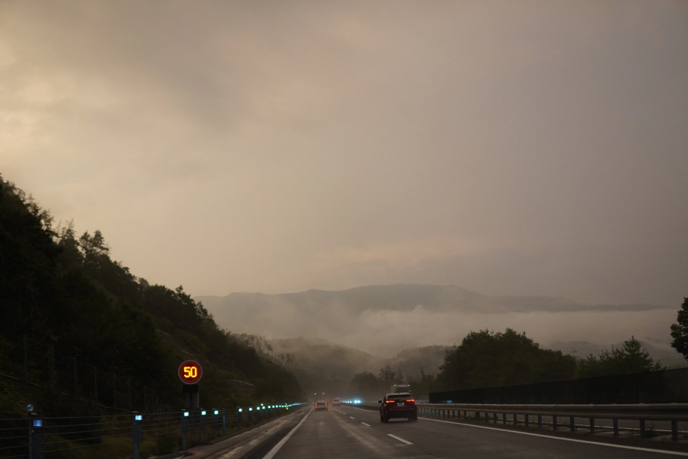 雨后独特的景色 alter-text